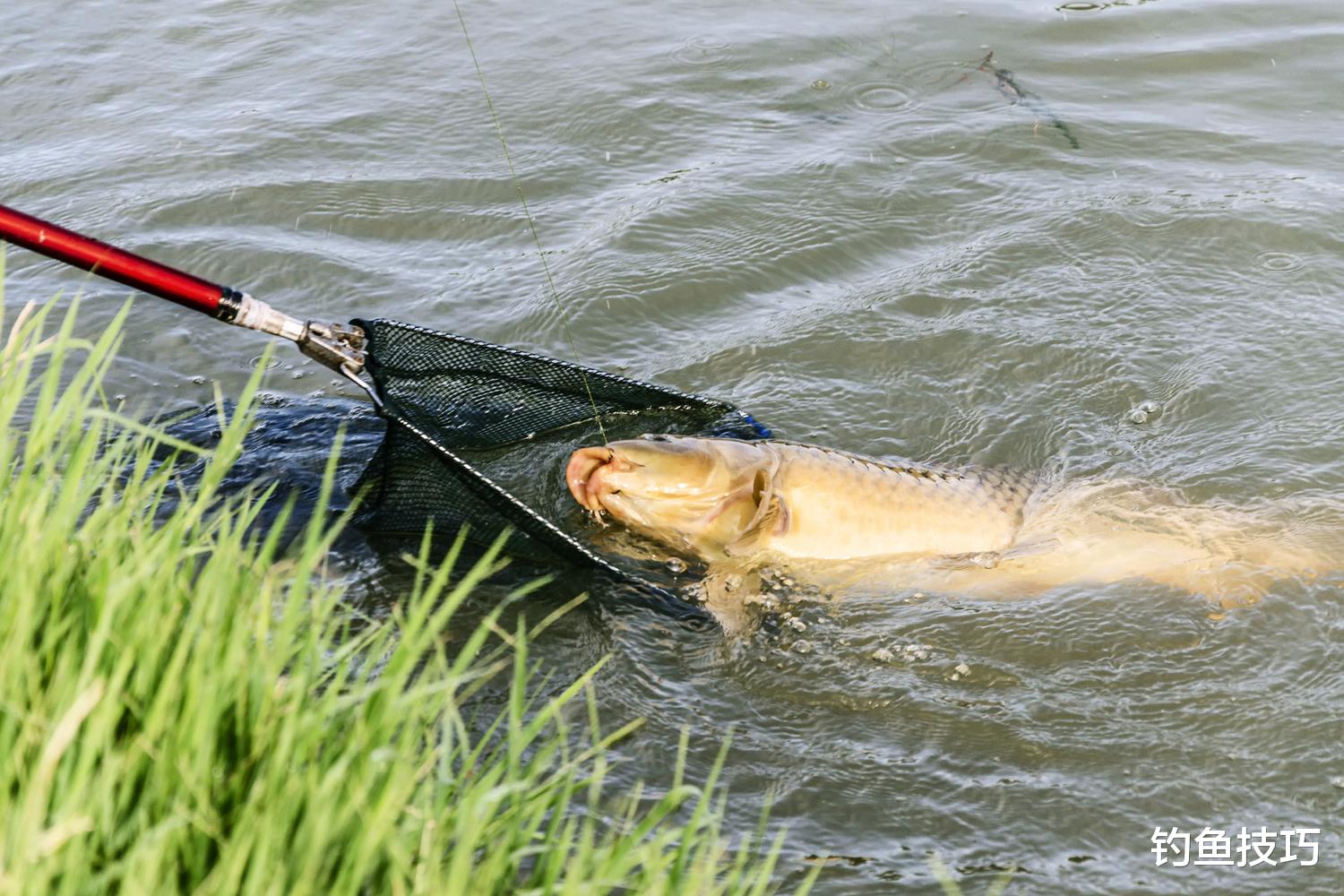 钓鱼时影响大鱼警惕性的5个因素,钓鱼知识
