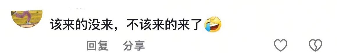 春晚阵容引热议:期待与失望的交响曲