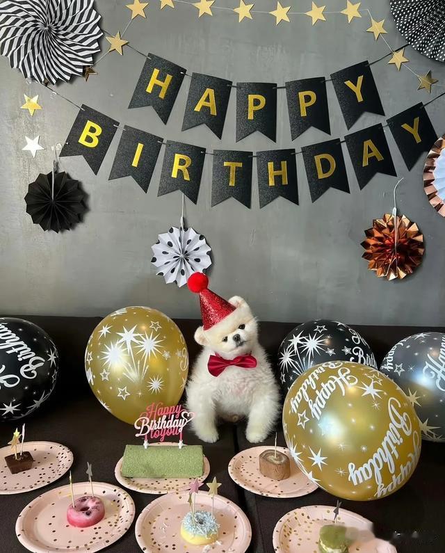 鹿晗过生日 一众好友来祝贺