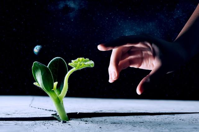 生活不易，适度冷漠，成新潮流？