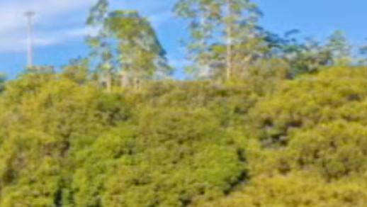 你记得第一次发工资是多少钱嘛