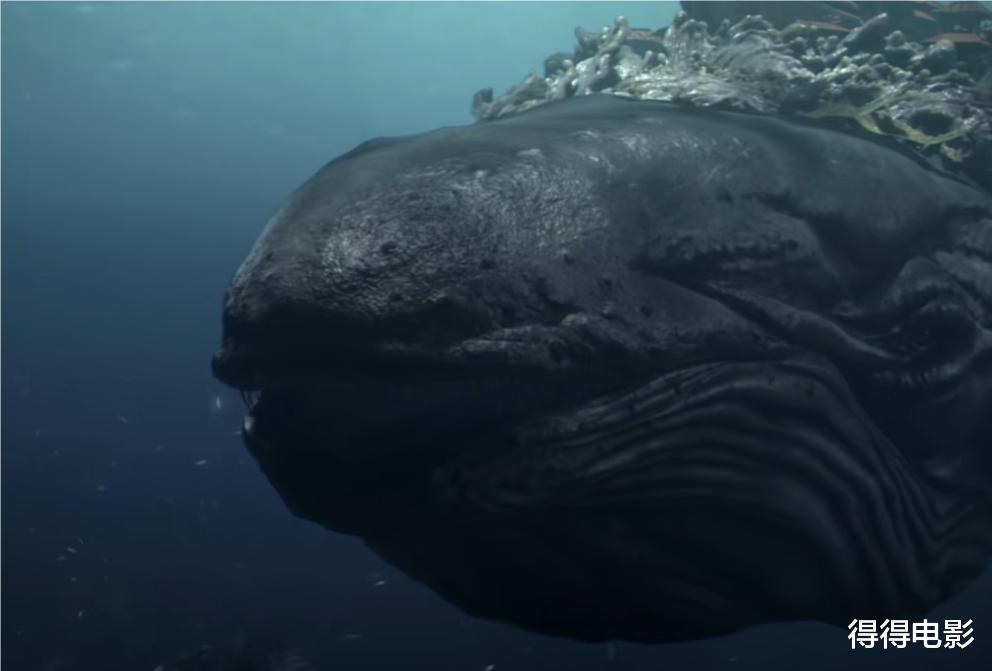 这又是谁家的千金?《哪吒魔童》又被碰瓷,两个人演完一部电影