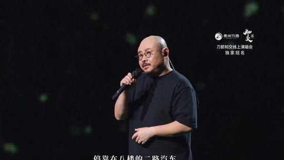 真低俗还是假专业？一场演唱会，揭开刀郎真实处境，那姐说的没错