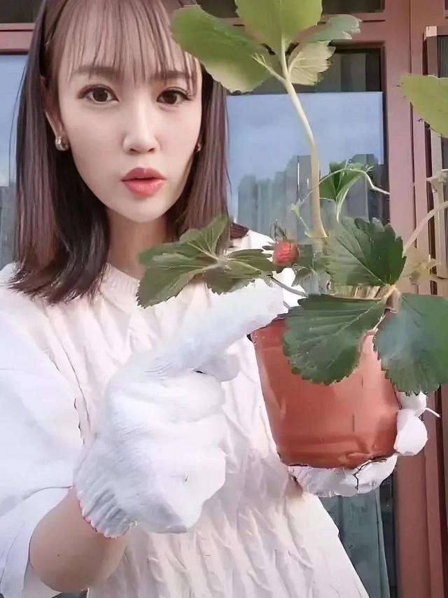 38岁马蓉国外生活照曝光,穿搭朴素面容消瘦,离开宝强气质变了