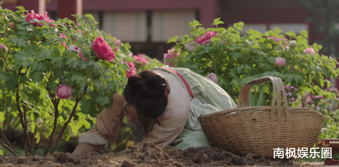 女演员长相有多重要?看《国色芳华》杨紫和张雅钦就知道了