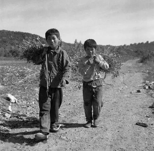 2011年,安徽48岁光棍因酷似普京,被俄罗斯富婆追求,后来怎样了