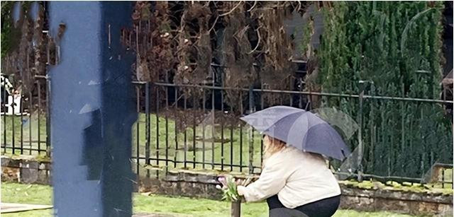 郑欣宜独自飞往加拿大祭奠沈殿霞！墓前伤心抹眼泪，久久不愿离去