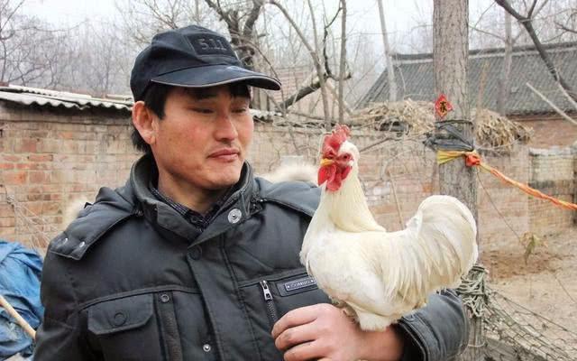 大衣哥送村民灯笼被嫌弃，刘强东送村民年货被热捧，两人差距在哪？