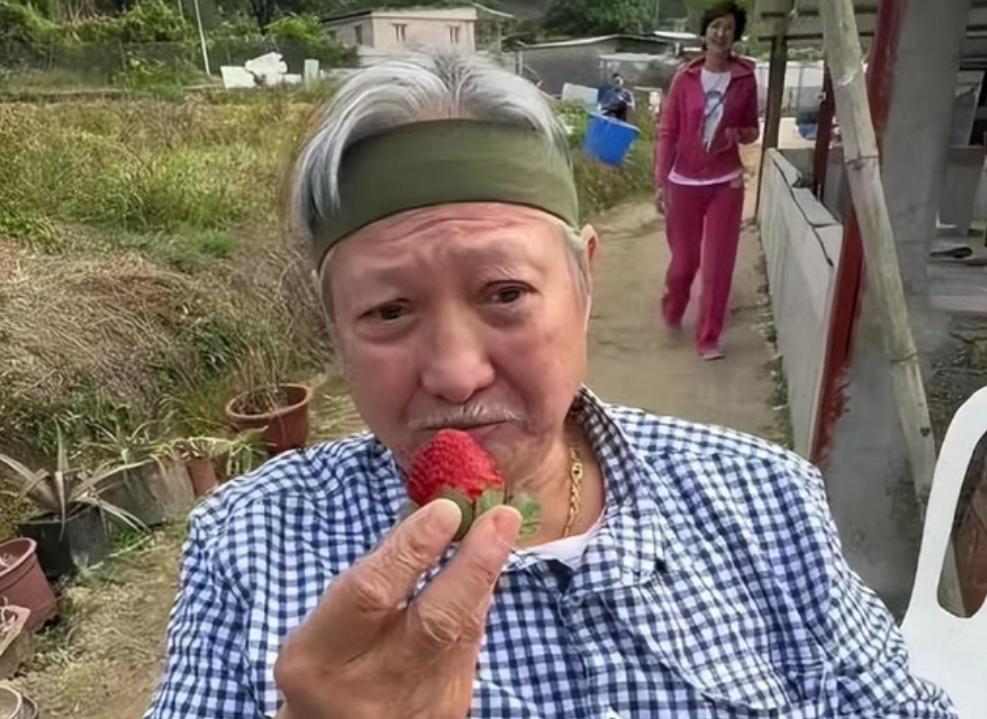 盘点7位老得认不出的明星,洪金宝白发苍苍,刀郎连头发都没了