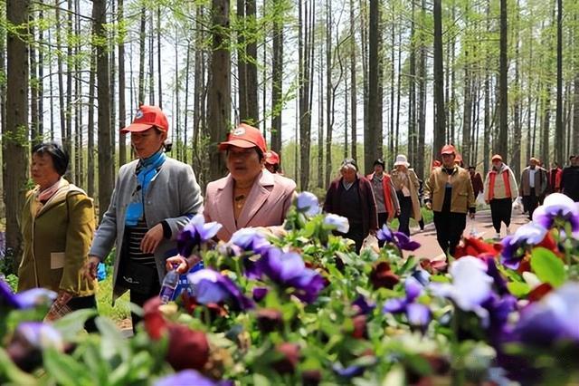 医生反复提醒：过了 60 岁，宁可在家里坐着不动，别出门做这 3 件事