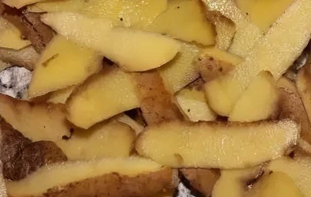 它是天然的“染发剂”,洗头时放几片,让你发色更加饱满