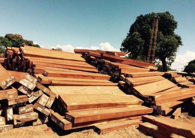 众说纷纭的“草花梨”