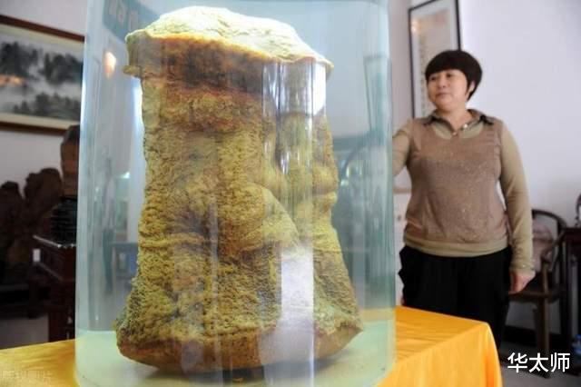 “太岁”到底是什么东西?我国科学家用精密仪器,终解开太岁之谜