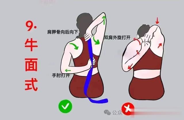 31个瑜伽体式发力走向精准正位图集!