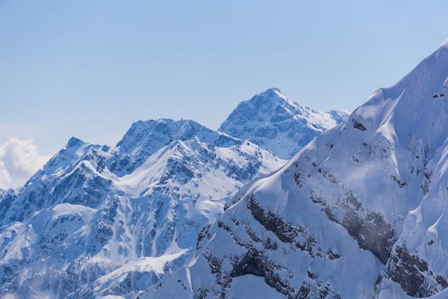 张起灵的家族为什么要守护青铜门和“终极”秘密?