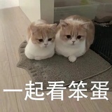 筑善舍舍舍