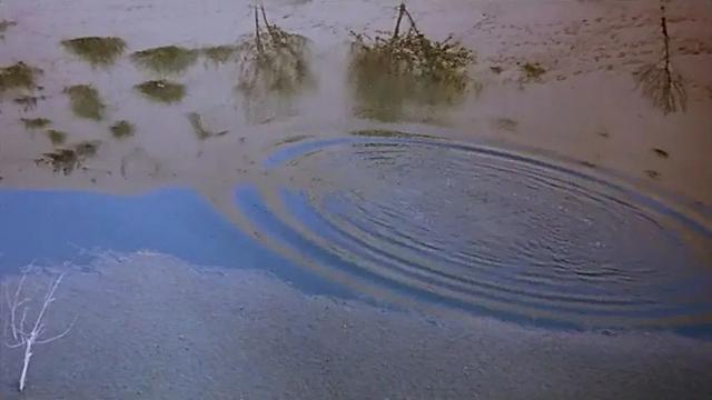 加五分钟重映破3000万!王家卫藏了25年的片段有何魔力?