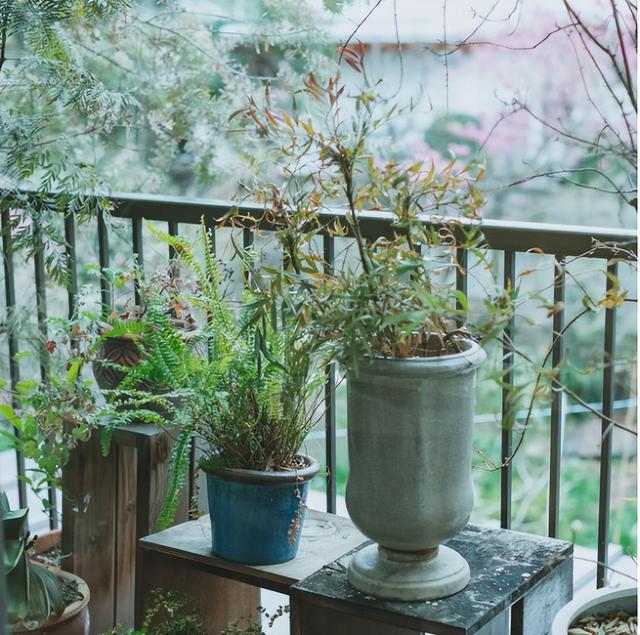 为什么到了40岁，身材很容易“发福”？这几点因素很难避开！