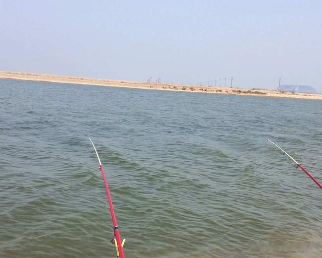 为什么,越来越多的钓鱼人,不把渔获当回事了?