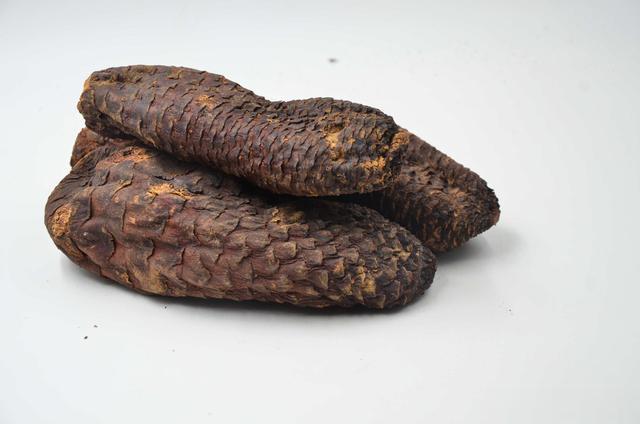 现代人重要的不是补阳，而是通阳，中医教你，通一身之阳气！