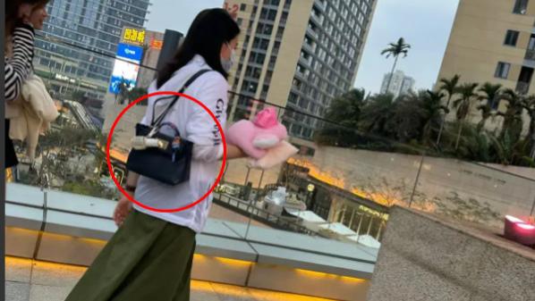 郭晶晶霍启刚带子女回内地老家排场大，背8万名牌包，一群人陪逛