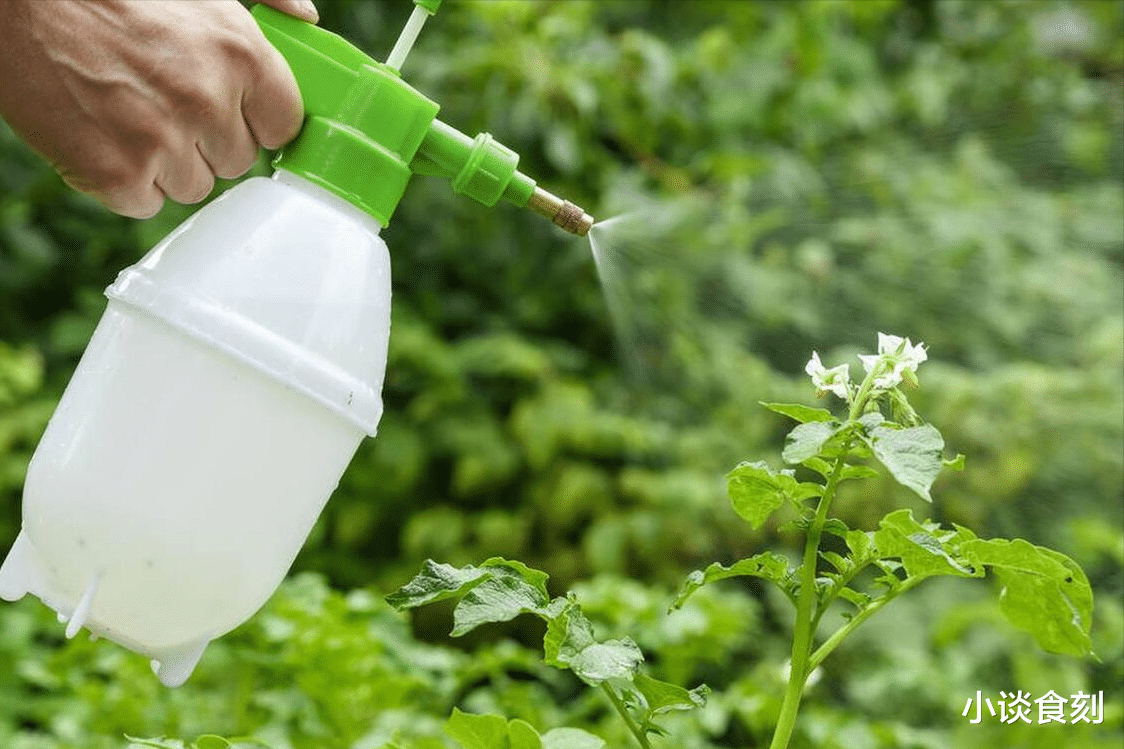 “处暑三不除，秋来人不安”，8月22日处暑，“三不除”指什么？