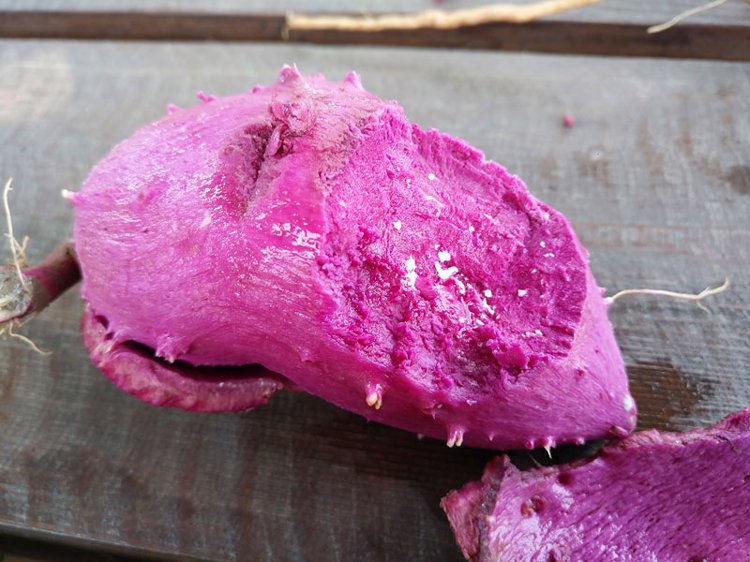 吃红薯是升血糖还是降血糖?真的能抗癌吗?一次性说明白