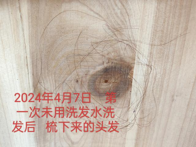 你是不是和我一样，38岁已经开始了脱发，从此开始挑战不用洗发水