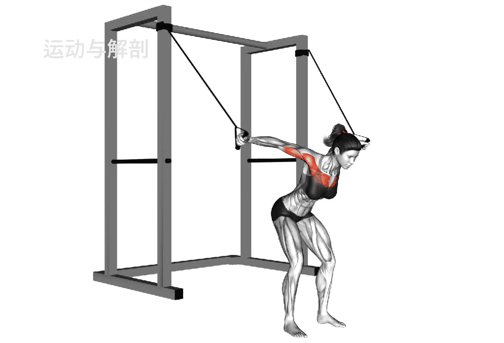 【每日一练】健身没有所谓的失败，只有不断挑战自我的勇气！