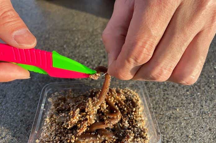 哪款“沙蚕夹”最好用？实测结果大公开！