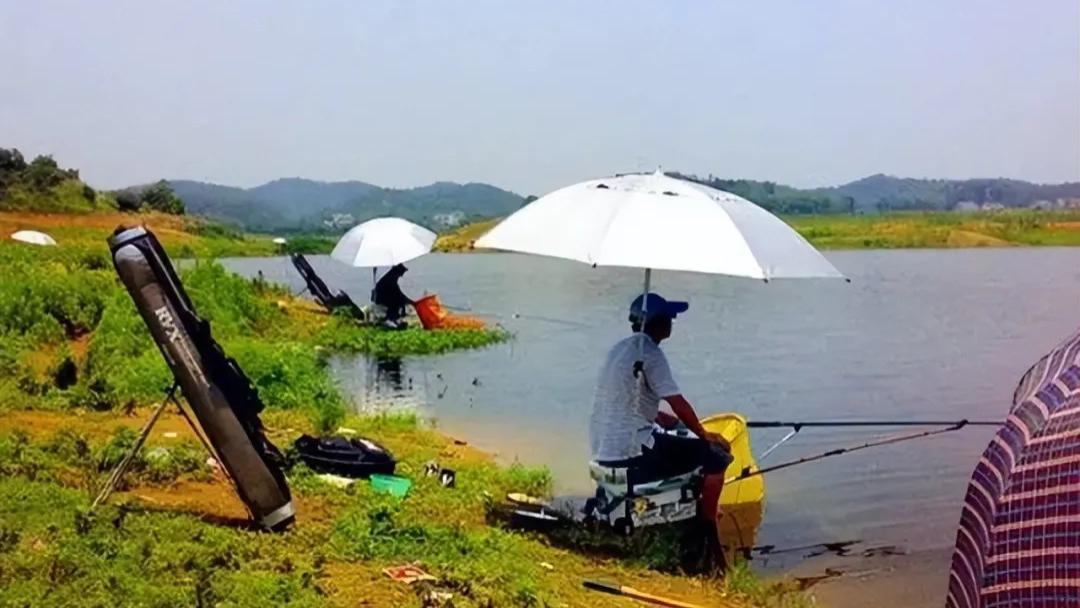 夏日垂钓攻略：时间、地点、技巧全解析