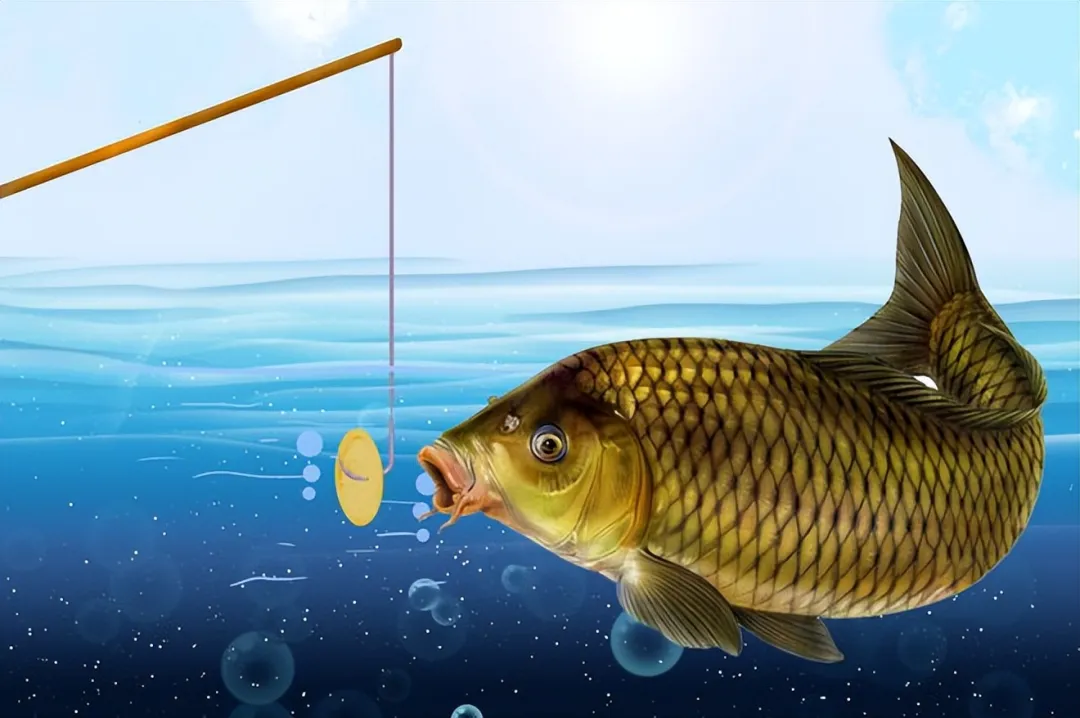 钓鲤鱼不只是运气，子线长度也很关键，分享选择子线长度的秘诀