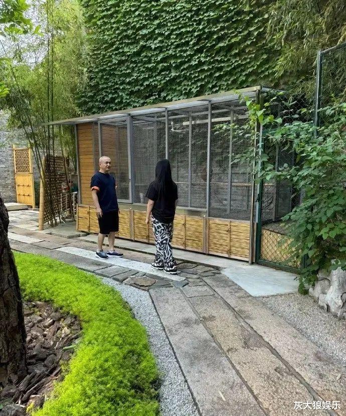 李湘带王诗龄看周杰伦演唱会,前夫王岳伦伺候母女花,发福像大妈