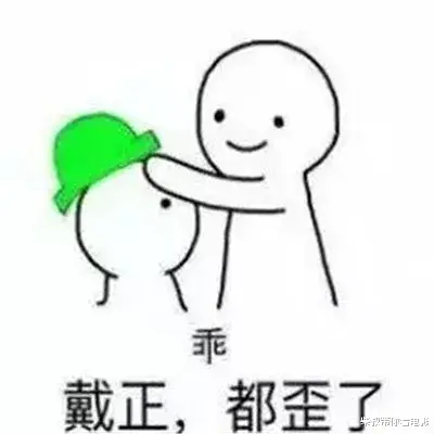 何洁一家五口泰国之旅：38岁她半头白发成焦点，两女儿颜值身材对比引热议！