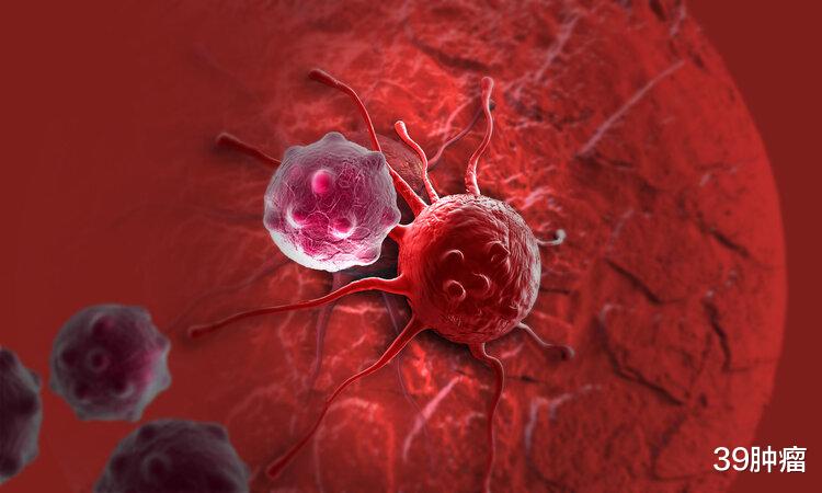 癌症晚期，倾家荡产吃靶向药延长生命值得吗？答案背后都是心酸