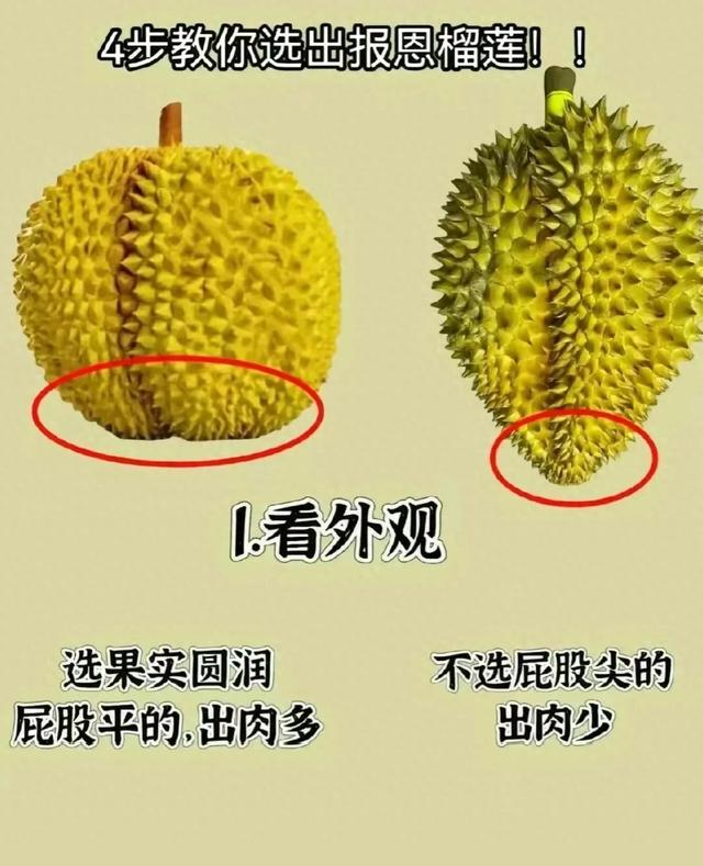 买榴莲不踩雷，4步方法教您挑选出来“报恩的榴莲”，一挑一个准