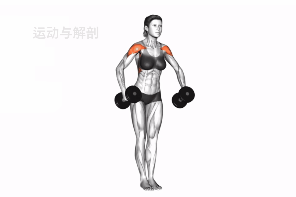 女生做力量训练，会使肌肉过分发达吗？