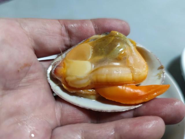 入秋后最补的海鲜，不是梭子蟹鲍鱼，而是这3种，汁多肉肥别错过