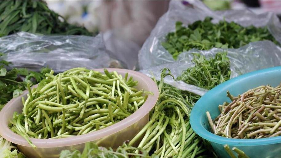 “春菜五不吃，吃了祸易兴”，春季“尝鲜”，叮嘱家人要懂得忌嘴