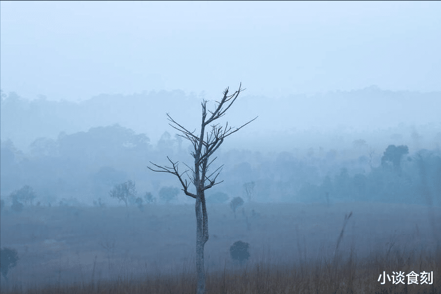 “初九三不做,灾祸自然无”,三月初九啥日子?3不做分别指啥?