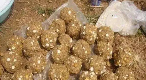 禁渔区内，一直有人在钓鱼，而且光明正大的钓，原因何在？