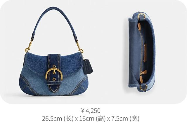 打工人最高段位:背Coach