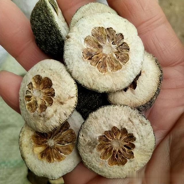 一味中成药，既能治便秘，还能治口臭，让你口气清新、呵气如兰