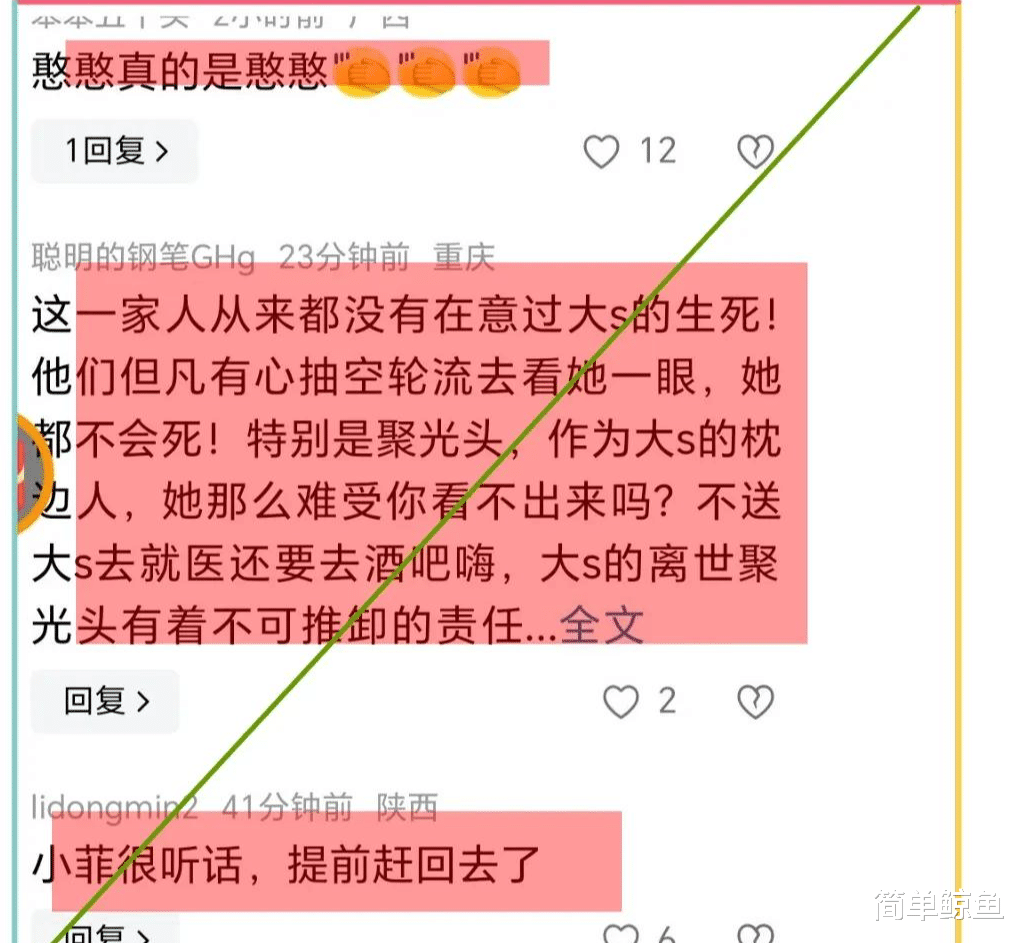 葛思齐曝大S去世时 S妈秘密联系汪小菲去台湾,网友:转移注意力?