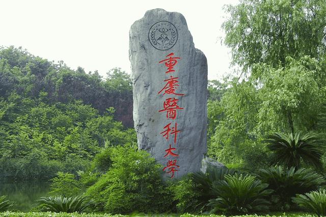走过场吗？苏大附一院在重医招博士后，内容公开后被知名教授追问