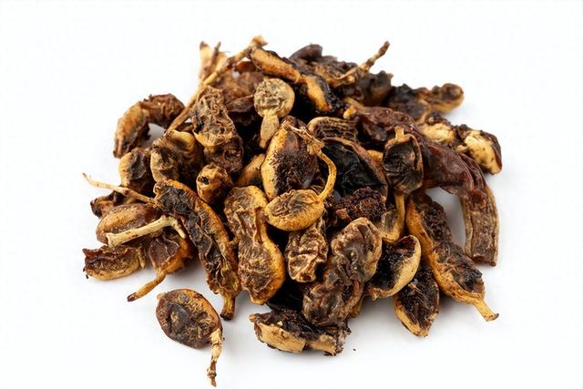 肠道长息肉怎么办?你身边的良药:槐角