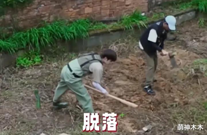 丁真上综艺被欺负！明星嘉宾抱团哄他多干活，面对镜头毫不掩饰