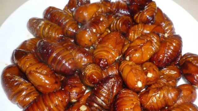 东北“5大怪菜”，本地人爱不释口，外地人却难以下咽