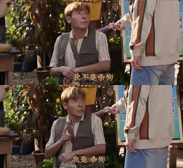 曾穷到卑微求职,如今作品三连爆,女友是超女,7年陪伴无怨言