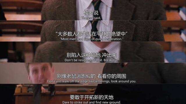 徐璐，可惜了。